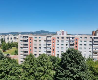 Sale One bedroom apartment, One bedroom apartment, Petzwalova, Nitra, 