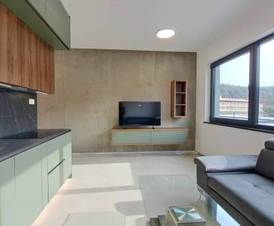 Rent One bedroom apartment, One bedroom apartment, Jilemnického, Popra