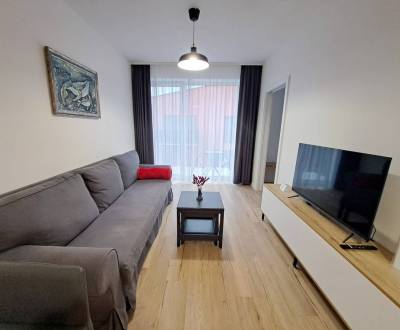 Rent One bedroom apartment, One bedroom apartment, Jilemnického , Popr