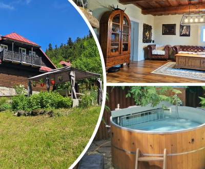 Sale Hotels and pensions, Hotels and pensions, Donovaly, Banská Bystri