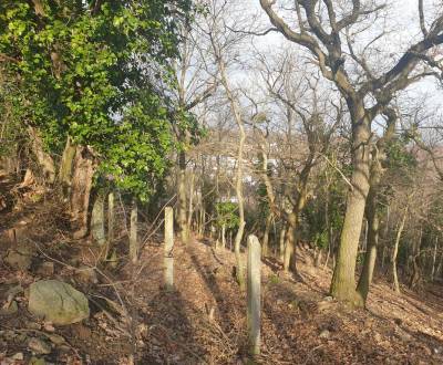 Sale Land – for living, Land – for living, Frankovská, Bratislava - No