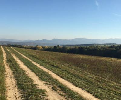 Sale Agrarian and forest land, Agrarian and forest land, Prievidza, Sl