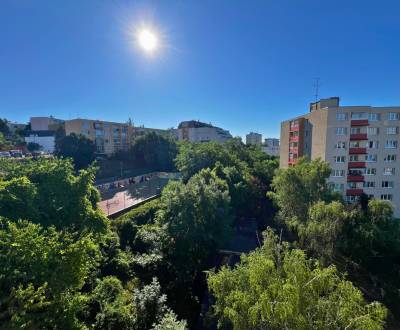 2,5 -Room Apartment with Loggia, Balcony, Storage, Ladzianskeho, BAIII