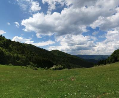 Sale Agrarian and forest land, Agrarian and forest land, Prievidza, Sl