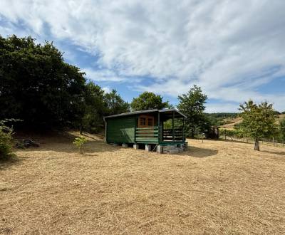 Rent Agrarian and forest land, Agrarian and forest land, Sadová, Pezin