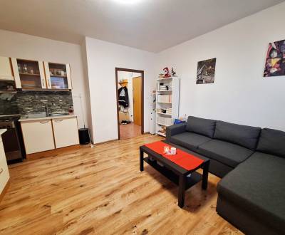 Rent Studio, Studio, Nitra, Slovakia