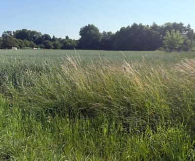 Sale Land – for living, Land – for living, Topoľčany, Slovakia