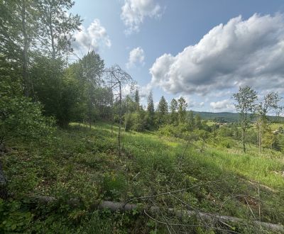 Sale Recreational land, Recreational land, Raková, Čadca, Slovakia