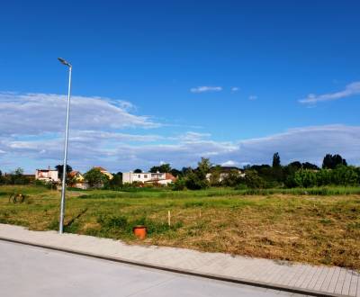 Sale Land – for living, Land – for living, Cintorínska, Senec, Slovaki