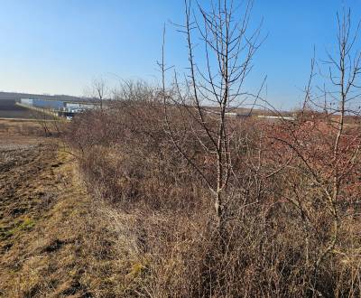 Sale Land – for living, Land – for living, Nitra, Slovakia