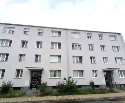 Sale One bedroom apartment, One bedroom apartment, Za hradbami, Pezino