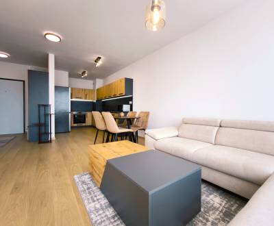 Rent One bedroom apartment, One bedroom apartment, Na Majerisku, Malac