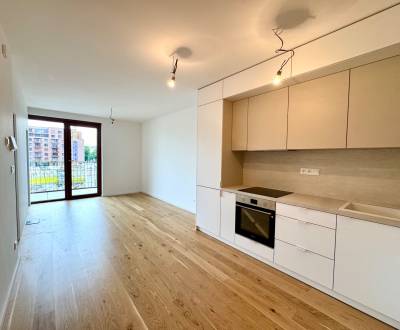 Sale One bedroom apartment, One bedroom apartment, Košická, Bratislava