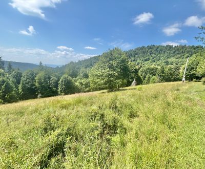 Sale Land – for living, Land – for living, Dedovka, Čadca, Slovakia
