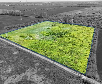 Sale Agrarian and forest land, Agrarian and forest land, Michalovce, S