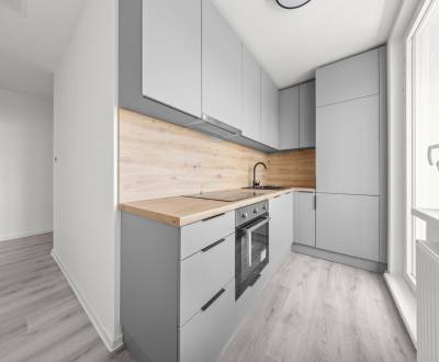 Sale One bedroom apartment, One bedroom apartment, Svätoplukova, Pezin