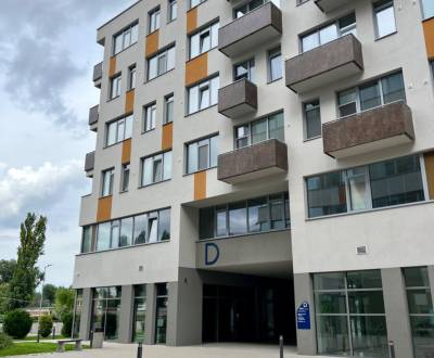 Rent Commercial premises, Commercial premises, Tomášiková, Bratislava 