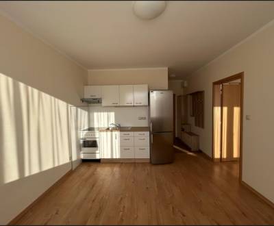 Sale One bedroom apartment, One bedroom apartment, Suvorovova, Pezinok