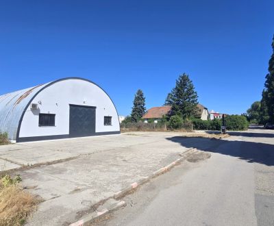 Rent Storehouses and Workshops, Storehouses and Workshops, Domové role