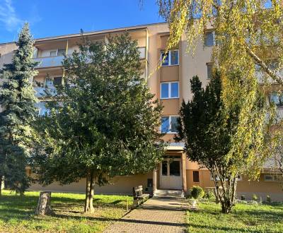 Rent One bedroom apartment, One bedroom apartment, Piešťany, Slovakia