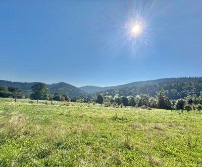 Sale Land – for living, Land – for living, Švancari, Čadca, Slovakia
