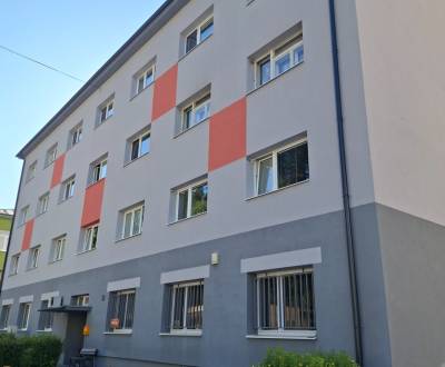Sale Four+ bedroom apartment, Four+ bedroom apartment, Harmanecká cest