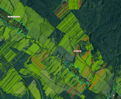 Sale Agrarian and forest land, Agrarian and forest land, Bardejov, Slo