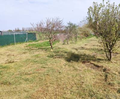 Sale Land – for living, Land – for living, Dunajská Streda, Slovakia
