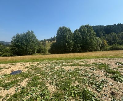 Sale Land – for living, Land – for living, Čierne, Čadca, Slovakia