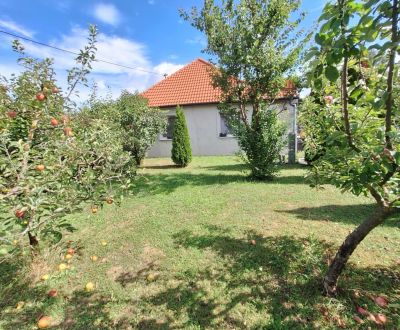 Sale Family house, Family house, Selice, Šaľa, Slovakia