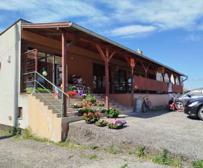 Sale Commercial premises, Commercial premises, Levice, Slovakia