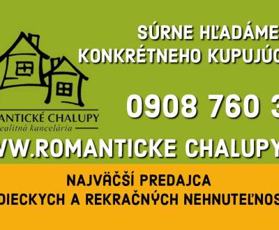 Searching for Cottage, Cottage, Detva, Slovakia