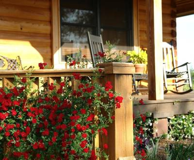 Searching for Family house, Family house, Topoľčany, Slovakia