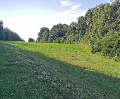 Sale Recreational land, Recreational land, Nemšová, Trenčín, Slovakia