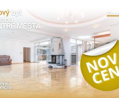 Sale Four+ bedroom apartment, Four+ bedroom apartment, Staničná, Humen