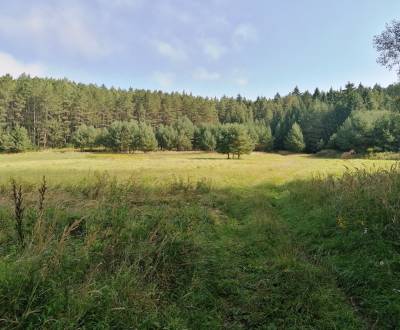 Sale Land – for living, Land – for living, Martin, Slovakia