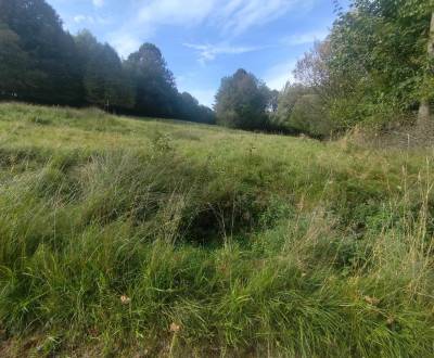 Sale Recreational land, Recreational land, Čadca, Slovakia