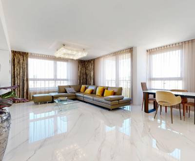 Luxurious apartment with beautiful view