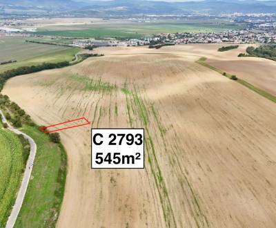 Sale Agrarian and forest land, Agrarian and forest land, Trenčín, Slov