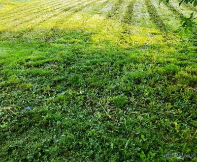 Sale Land – for living, Land – for living, Michalovce, Slovakia