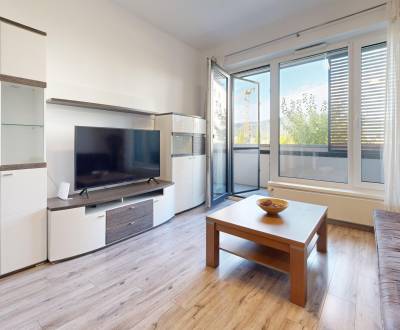 BORY sunny and pleasant 1 bedroom apartment with terrace and parking