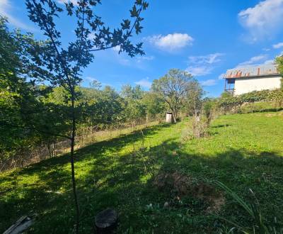 Sale Gardens, Gardens, Trenčín, Slovakia