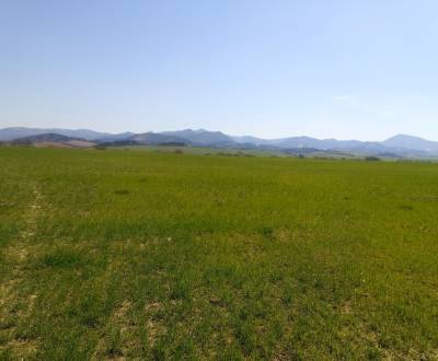 Sale Recreational land, Recreational land, Martin, Slovakia