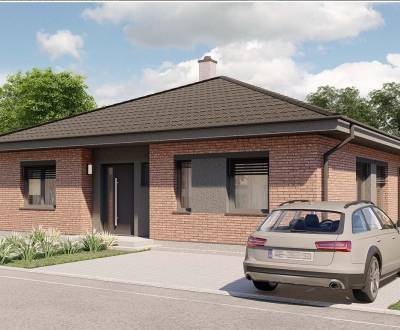 Sale Family house, Family house, Madunice, Hlohovec, Slovakia