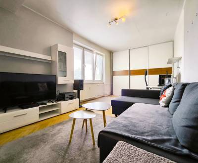 Sale One bedroom apartment, One bedroom apartment, Partizánska, Malack