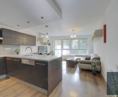 Rent Two bedroom apartment, Two bedroom apartment, Drieňová, Bratislav