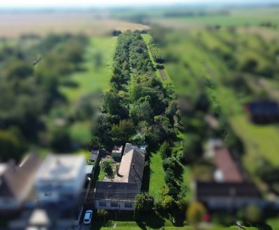 Sale Land – for living, Land – for living, Borová, Trnava, Slovakia