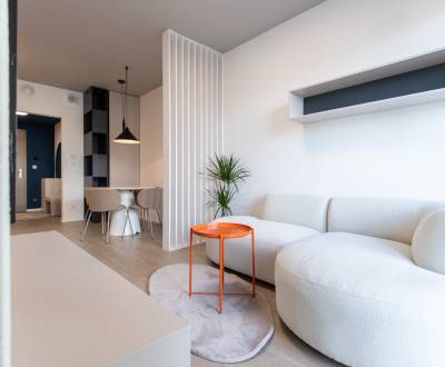 Designer 1.5-Room Apartment in Metropolis