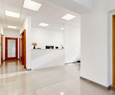 Practical office space for rent in Ružinov