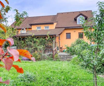 Sale Family house, Family house, Špačince, Trnava, Slovakia